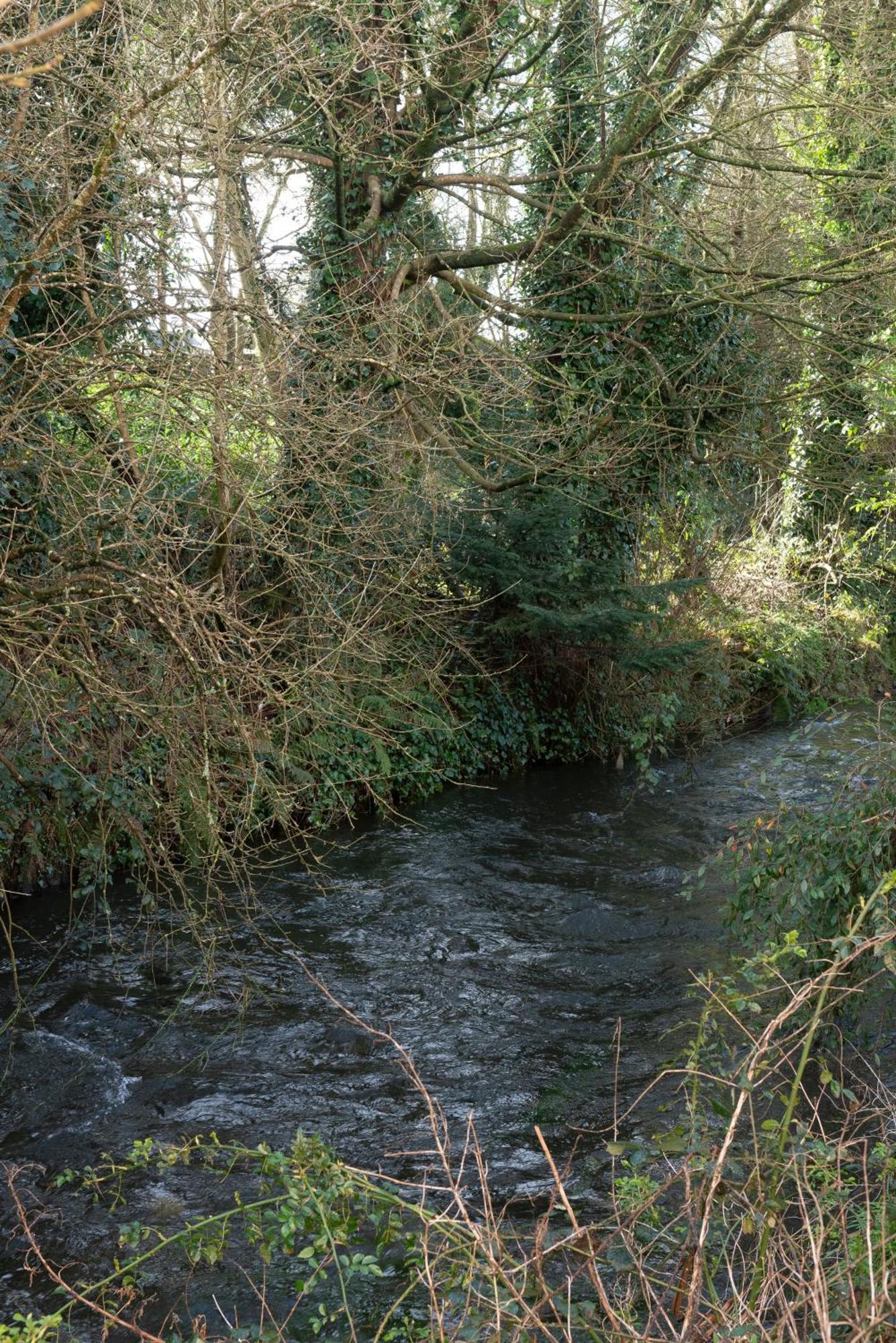 5 Bruach Na Habhann Clonakilty Exteriér fotografie